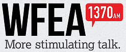 2015 WFEA talk logo